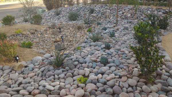 Yard Xeriscaping - Yard Xeriscaping Lee County, Florida