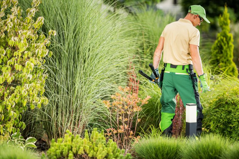 Landscape Curb Appeal Service