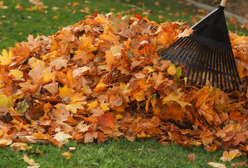 Autumn Cleanup