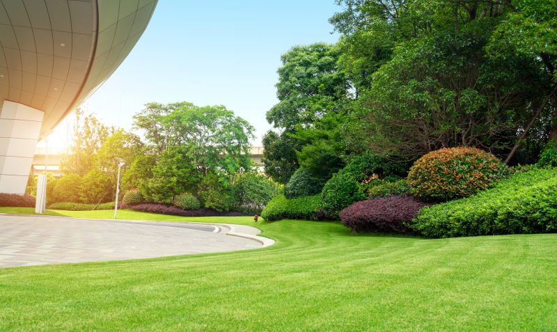 Professional Landscaping Companies